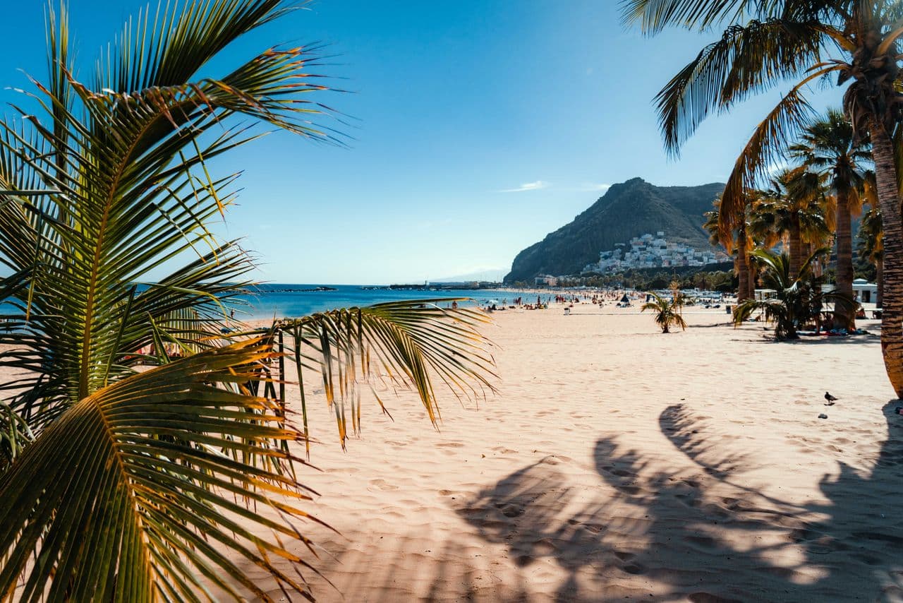 Palms above a turquoise bay in the Canary Islands