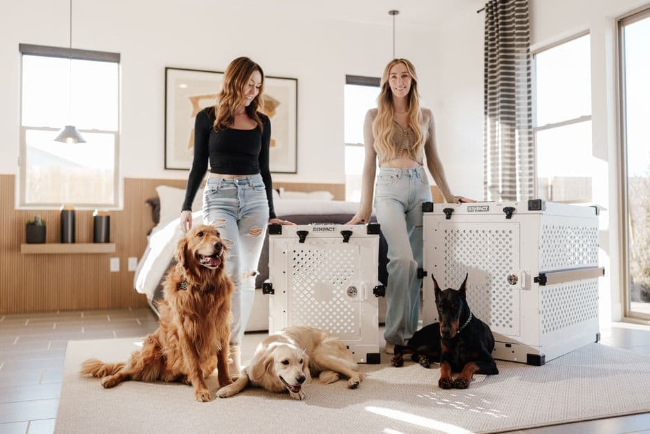 European Pet Transport — Gallery