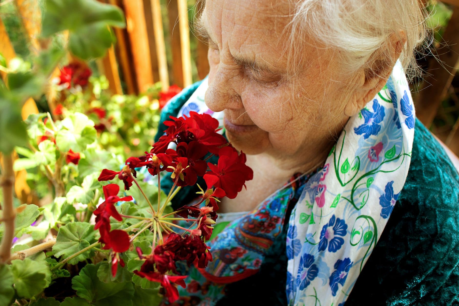 Llar de Calvià (Residència Llar de Majors de Calvià) — Senior Residences & Assisted Living