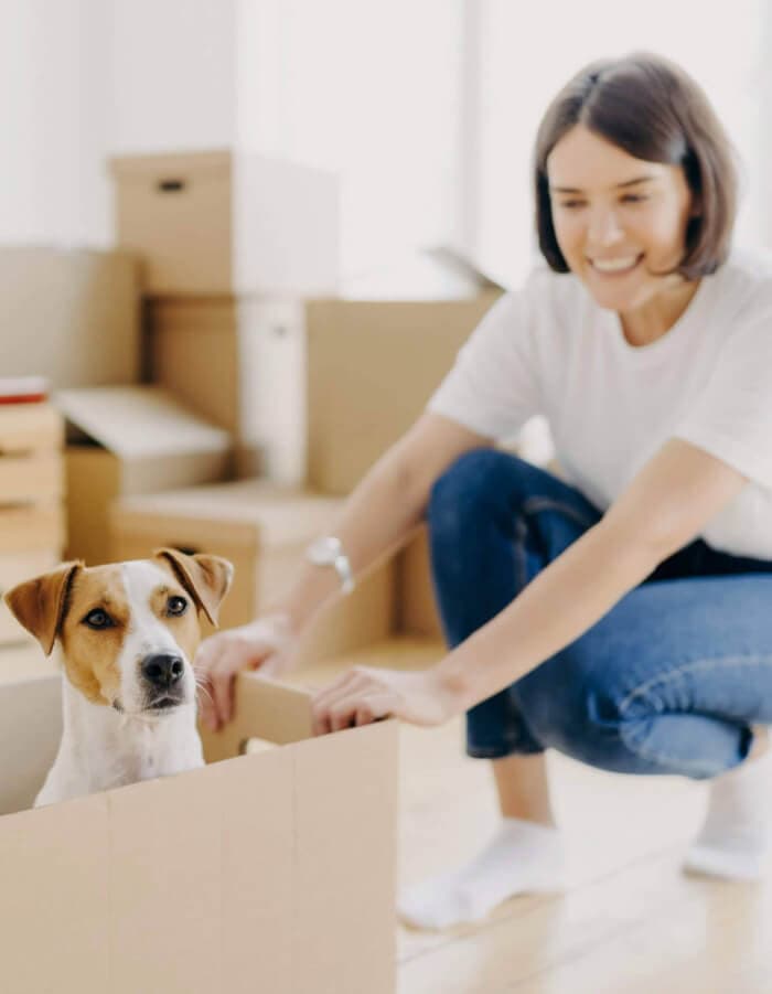 Relocation Services Valencia — Relocation & Moving Services