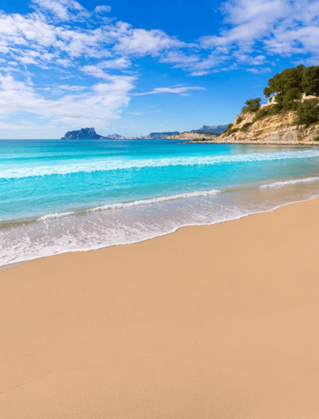 The Agency – Costa Blanca North — Real Estate Agents