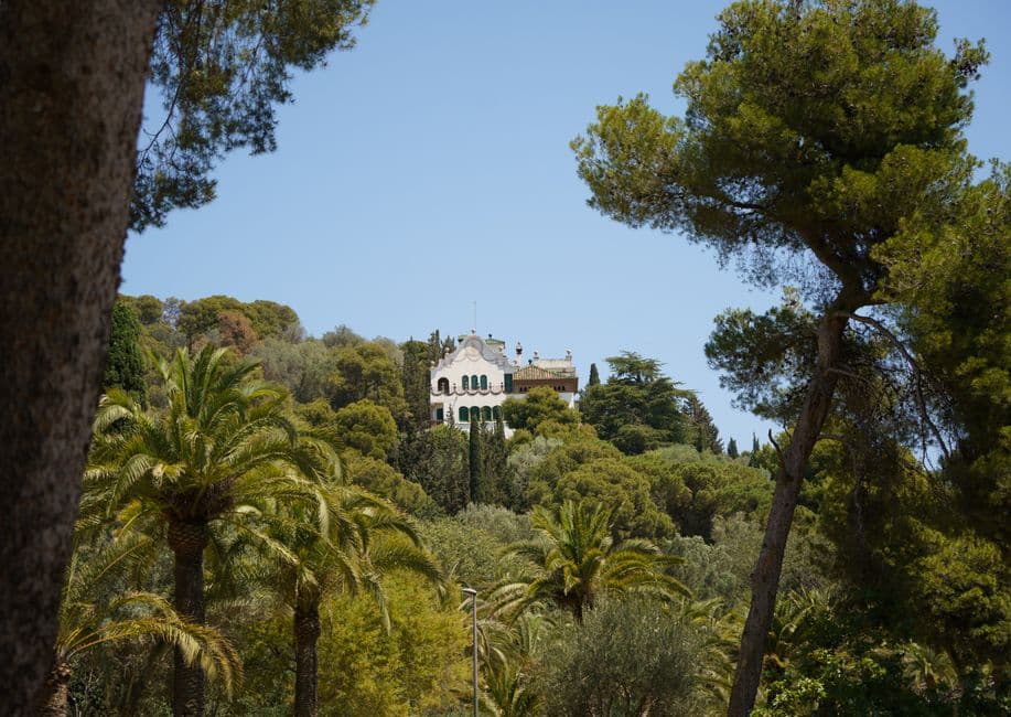 Charles Marlow (Mallorca & Ibiza) — Real Estate Agents