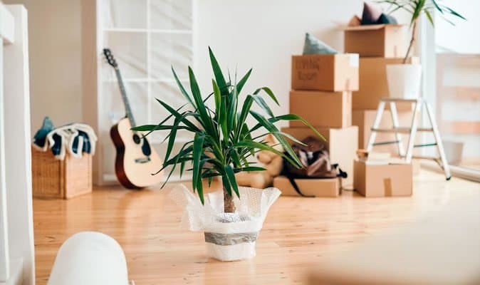 Residae Barcelona — Relocation & Moving Services