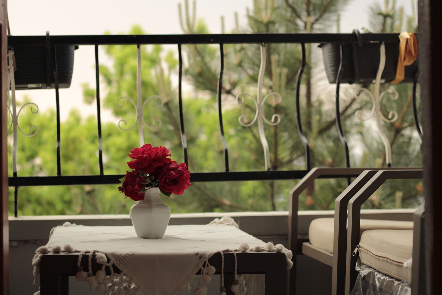 Brisa del Mar — Senior Residences & Assisted Living