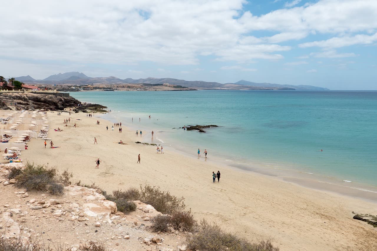 Canarie Per Te — Relocation & Moving Services