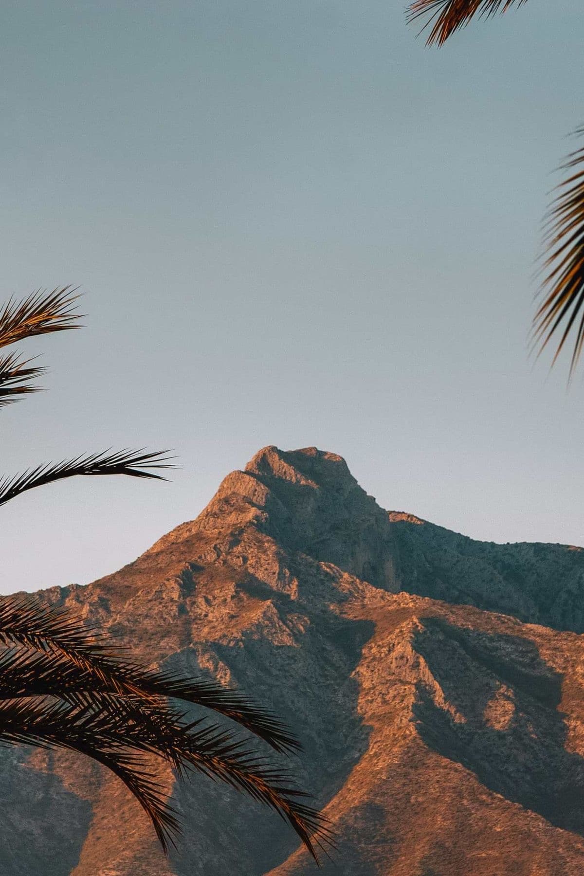 Marbella Assist — Gestoría & Admin Services
