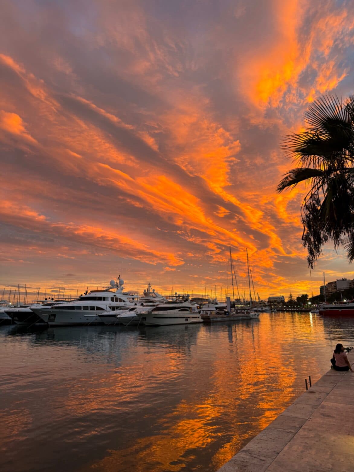 Alicante Move In — Gallery