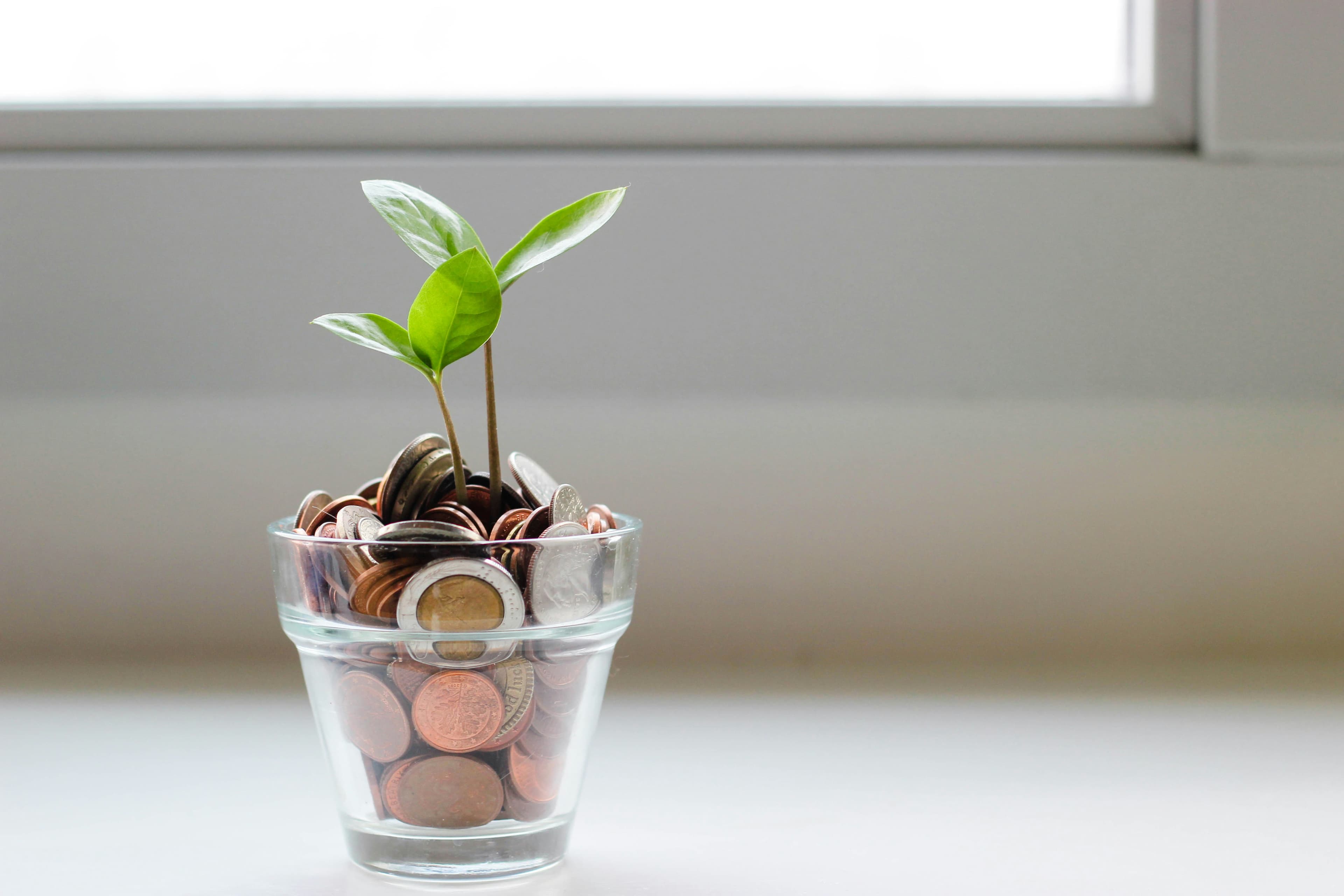 Coleman Advisers — Tax & Financial Advisors