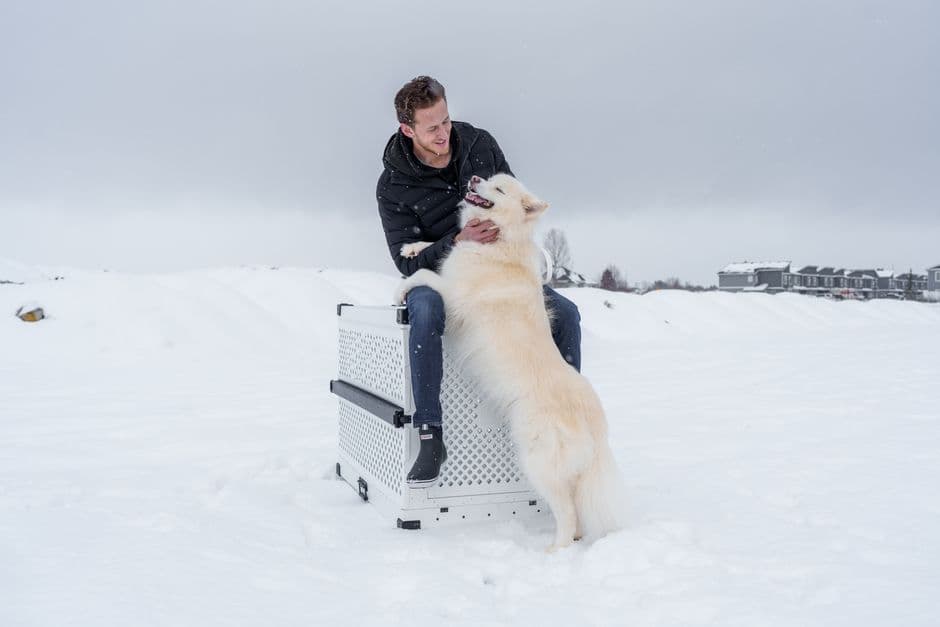 Exec Pets — Gallery