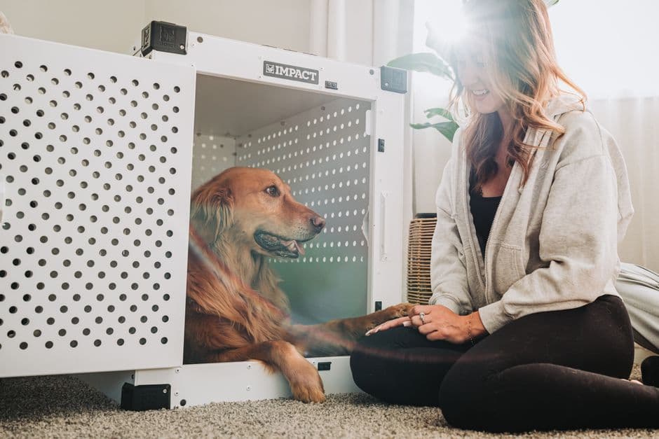 Fetchapet — Gallery