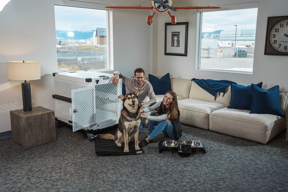 Pets Abroad UK — Gallery