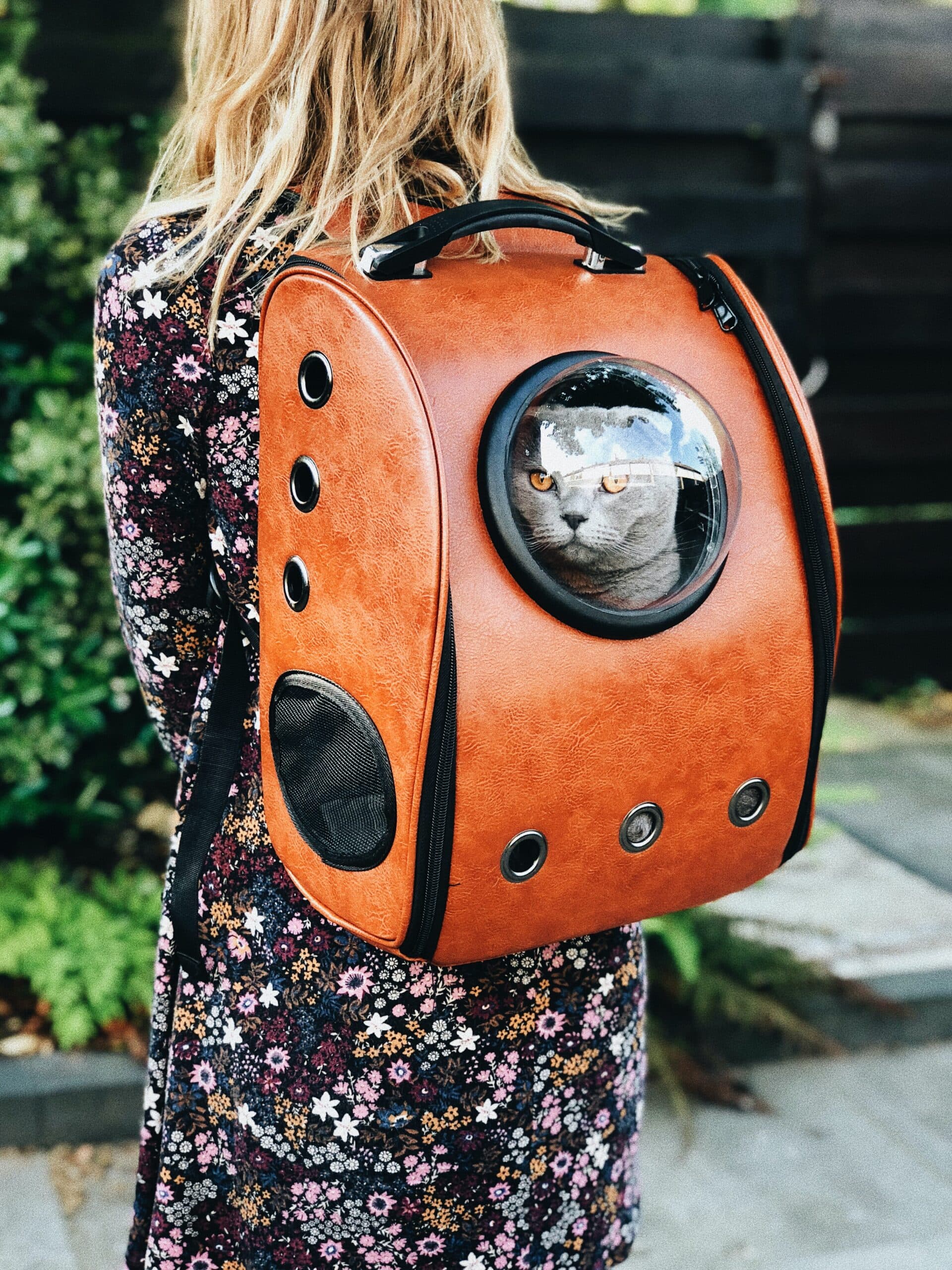 PBS Pet Travel — Gallery