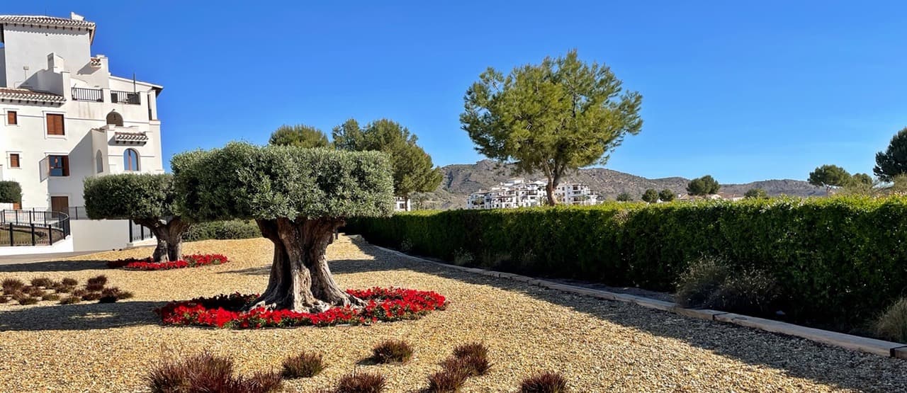 MGP — Golf & Coastal Properties (Murcia Golf Properties) — Gallery