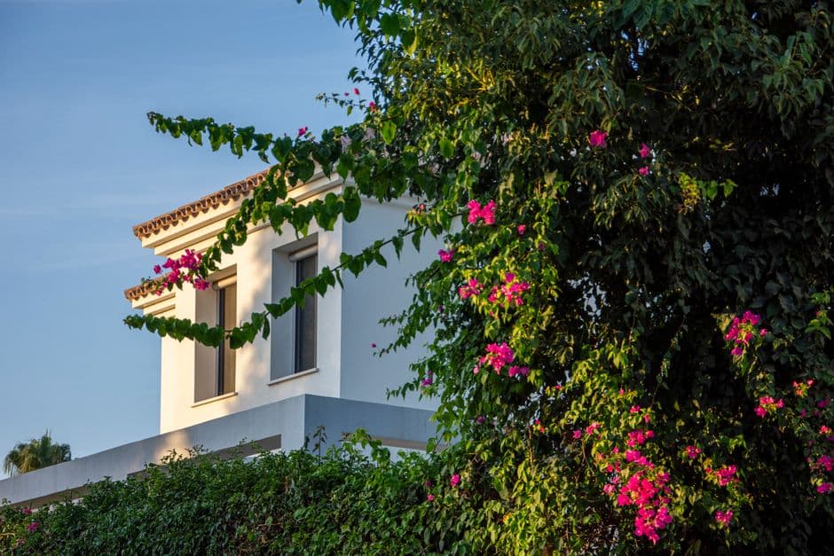 Mallorca Gold — Real Estate Agents