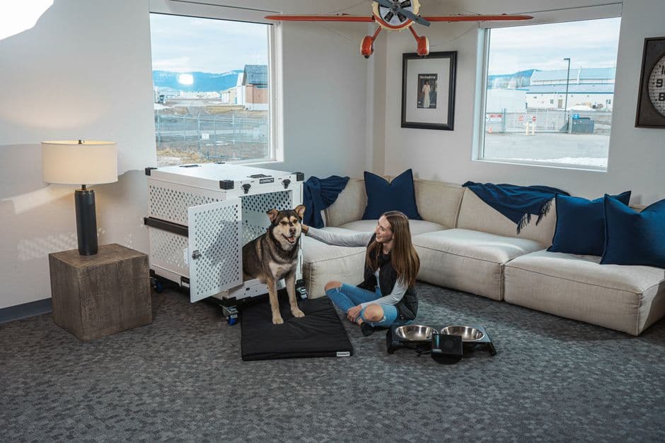 All Pets Travel — Pet relocation