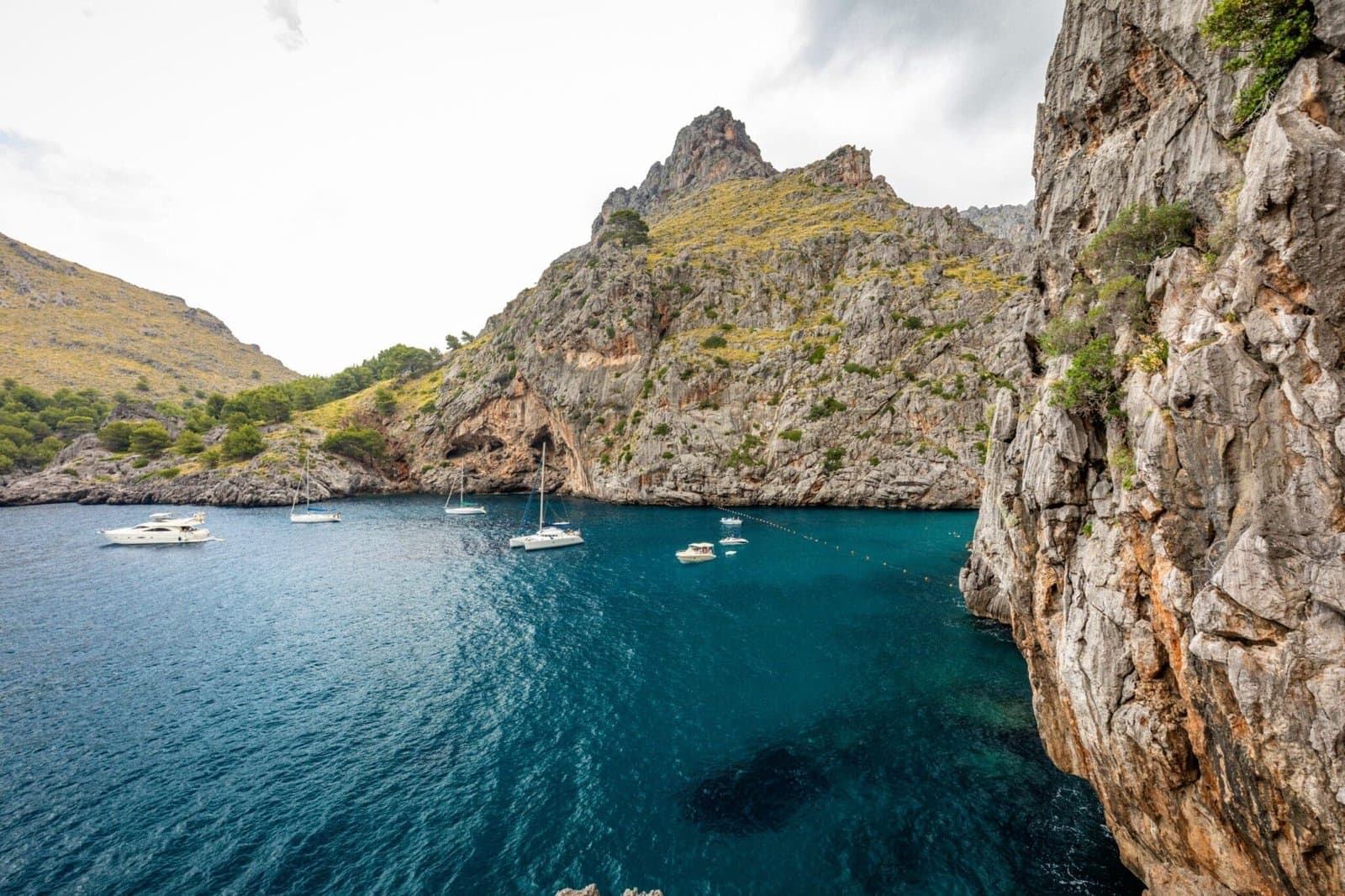 Del Canto Chambers – Mallorca — Tax & Financial Advisors