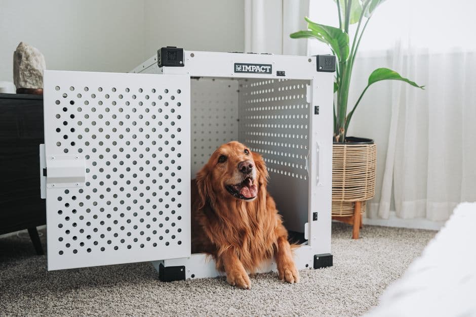 Euro Pet Express — Galerie