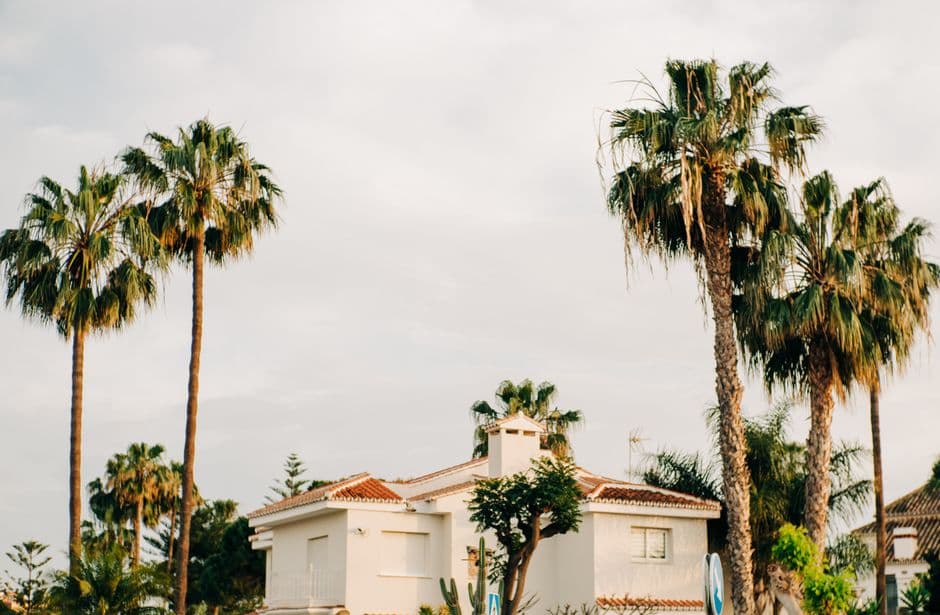 Move2Marbella — Gallery