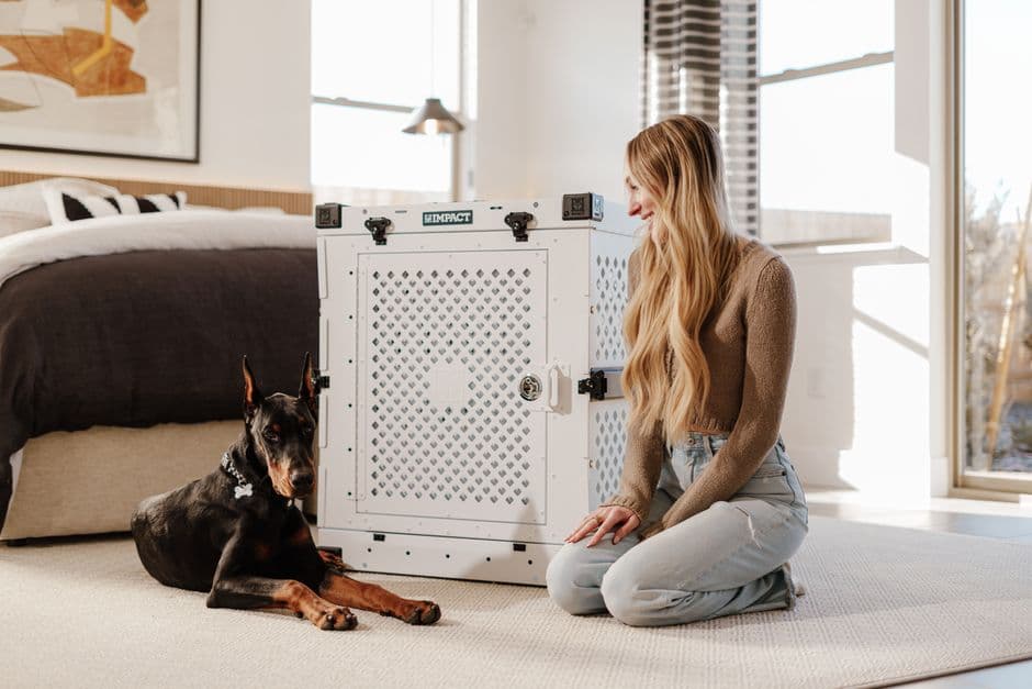 Exec Pets — Gallery