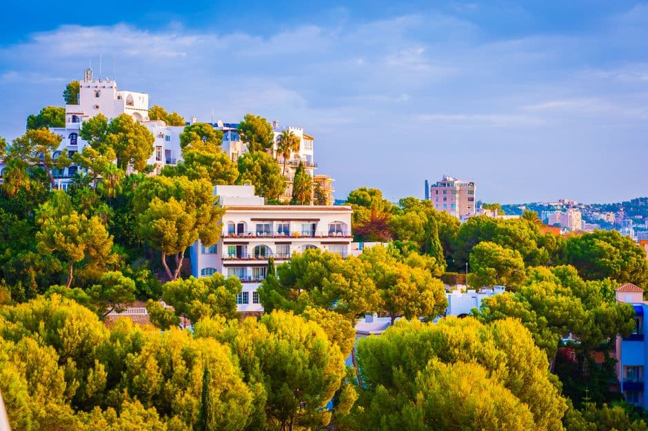 DOM Tenerife Real Estate — Real Estate Agents